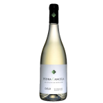 Pedra Cancela Branco Seleção do Enólogo Dão