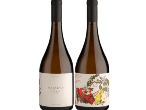 VINHO FINO BRANCO SECO CASA EVA  VIOGNIER