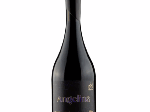 ARTEVIVA ESPECIAL ANGELINA VINHO TINTO SECO 750 ML