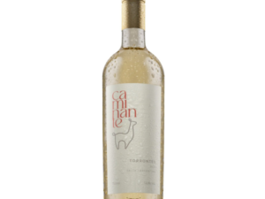 LAS FLECHAS, CAMINANTE TORRONTES 2025